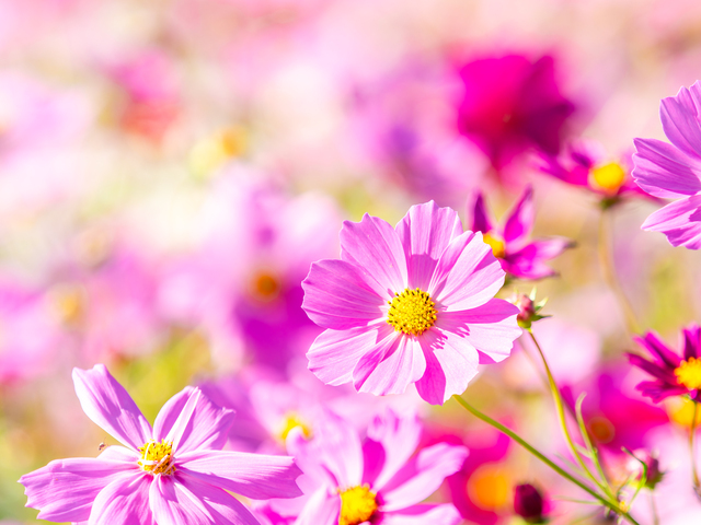 特別という、線引き―